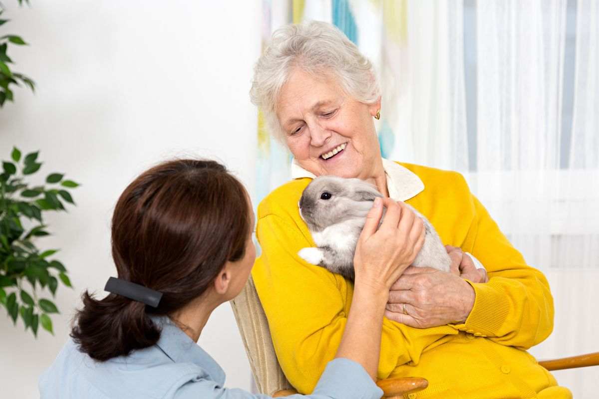 Anziani e cani per la pet therapy