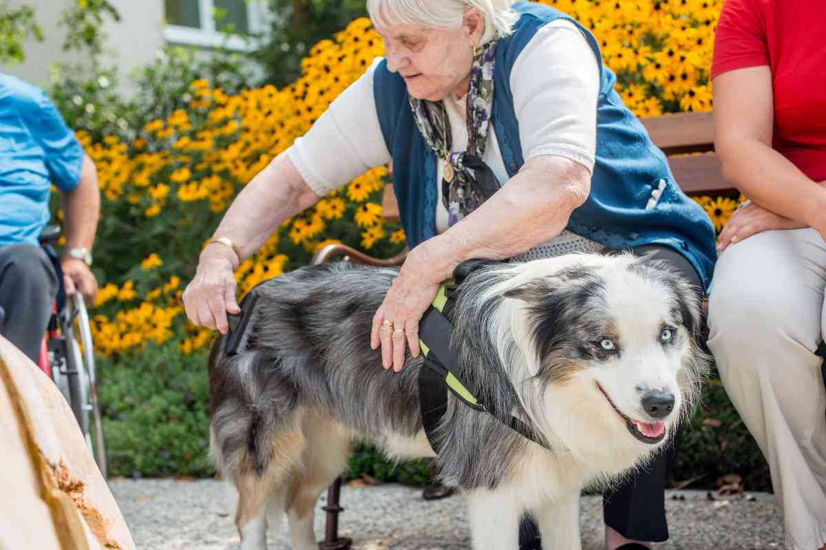 anziani e animali