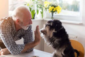 Anziano e cane