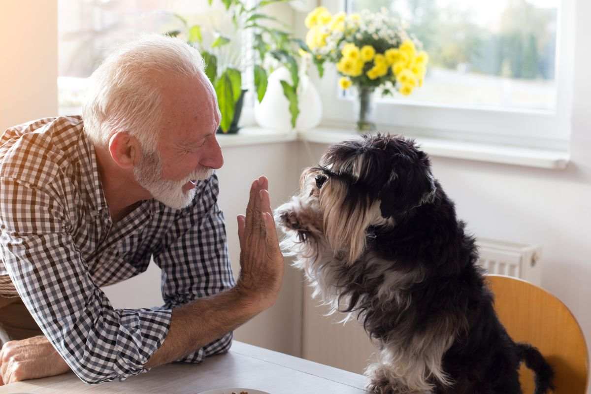 Anziano che gioca con cane