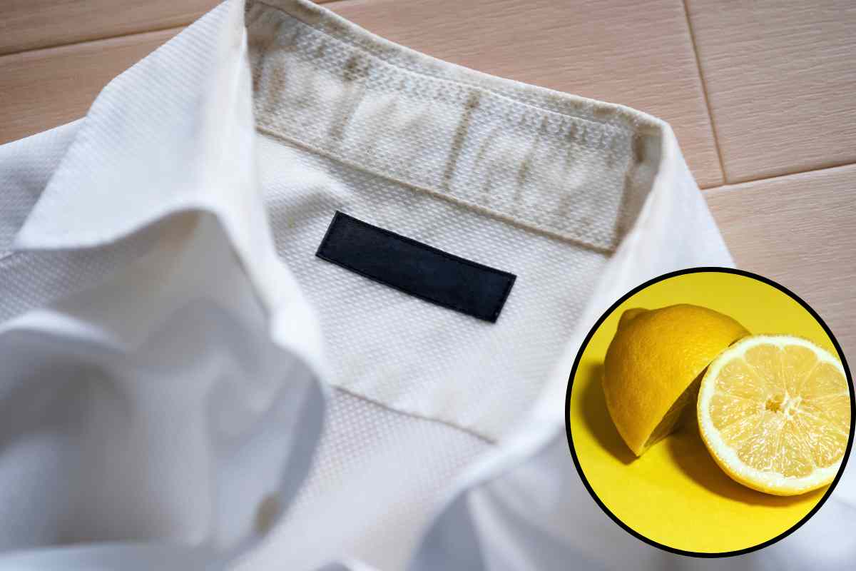 camicia e limone