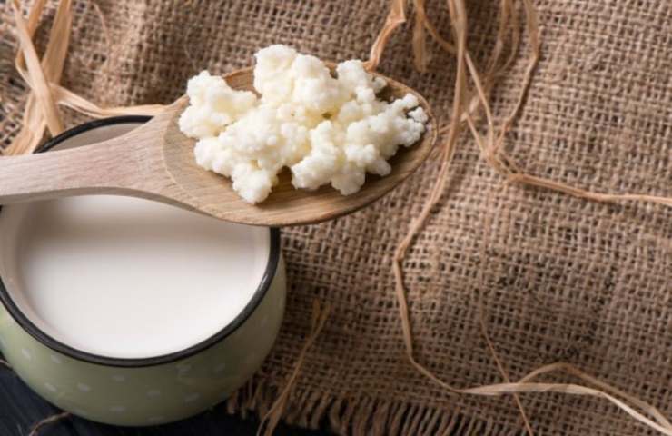 Il kefir nel cucchiaio e nel pentolino