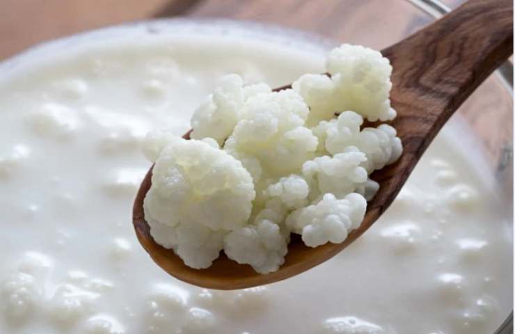 kefir sul cucchiaino