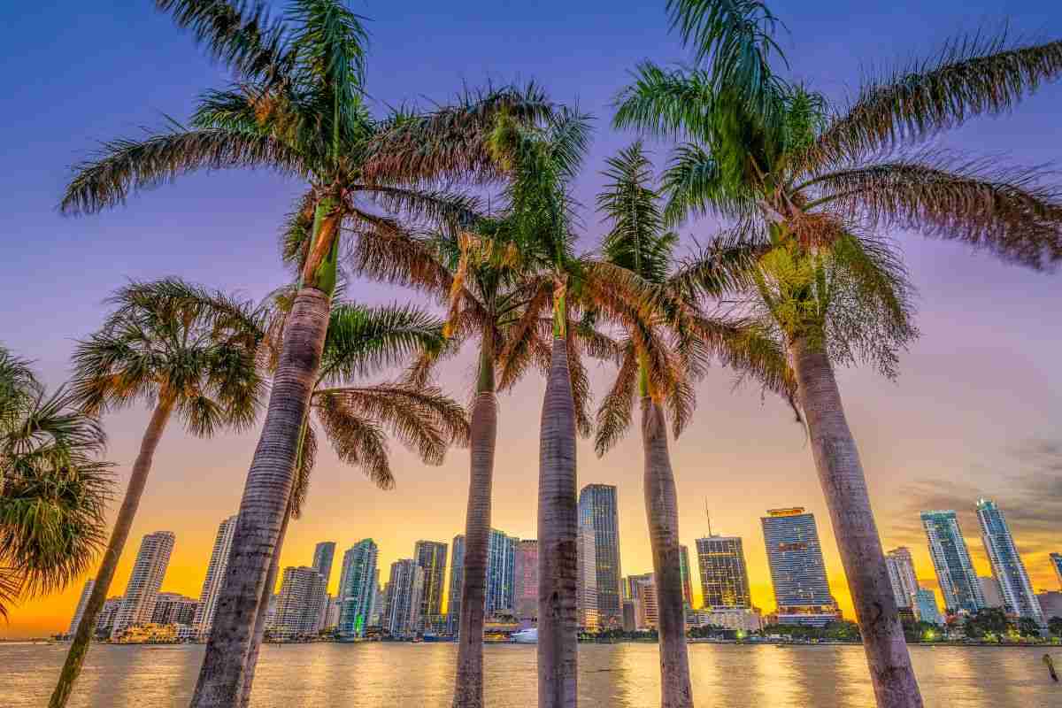 Miami al tramonto 